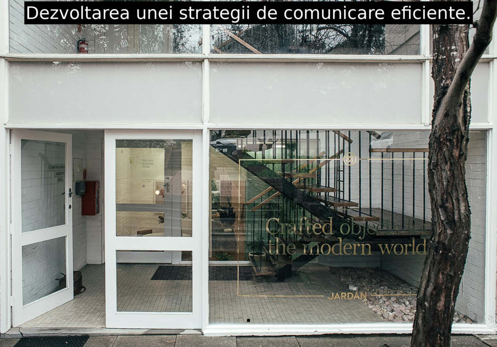 Dezvoltarea unei strategii de comunicare eficiente.