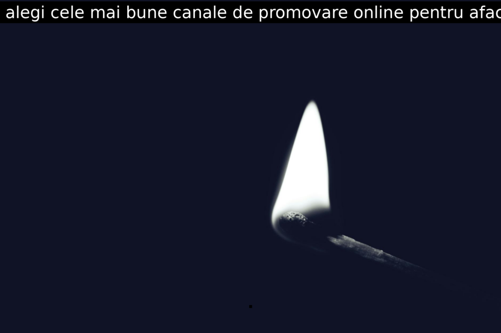 Cum să alegi cele mai bune canale de promovare online pentru afacerea ta