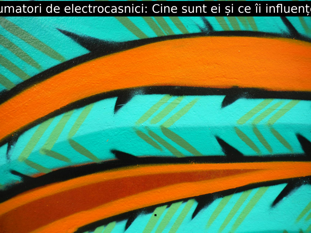 Consumatori de electrocasnici: Cine sunt ei și ce îi influențează?