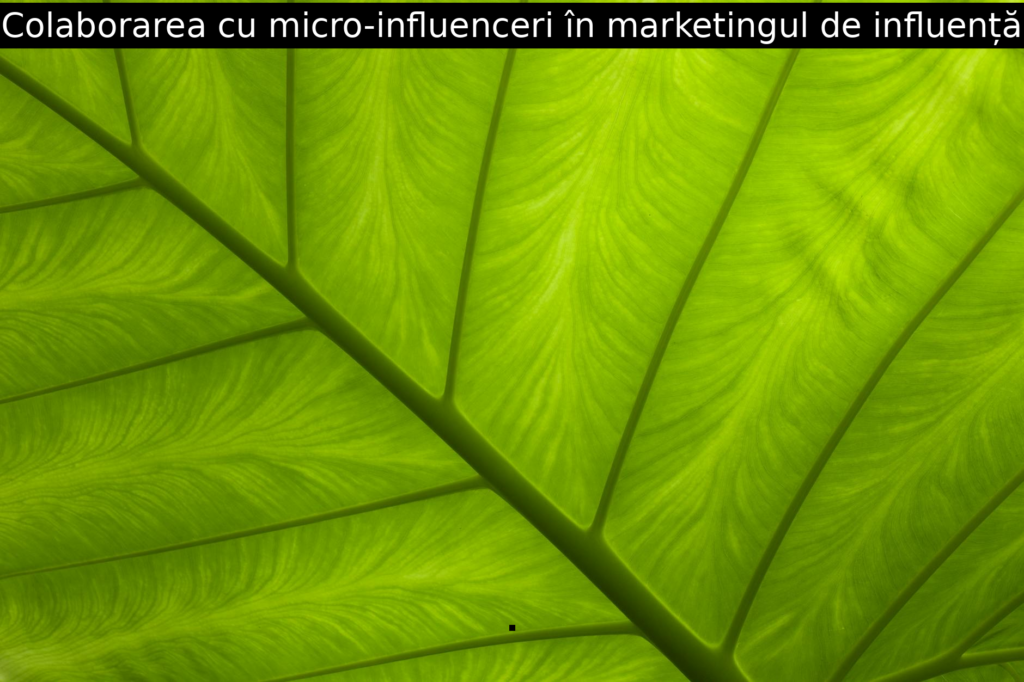 Colaborarea cu micro-influenceri în marketingul de influență