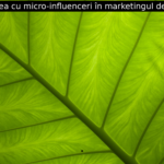 Colaborarea cu micro-influenceri în marketingul de influență