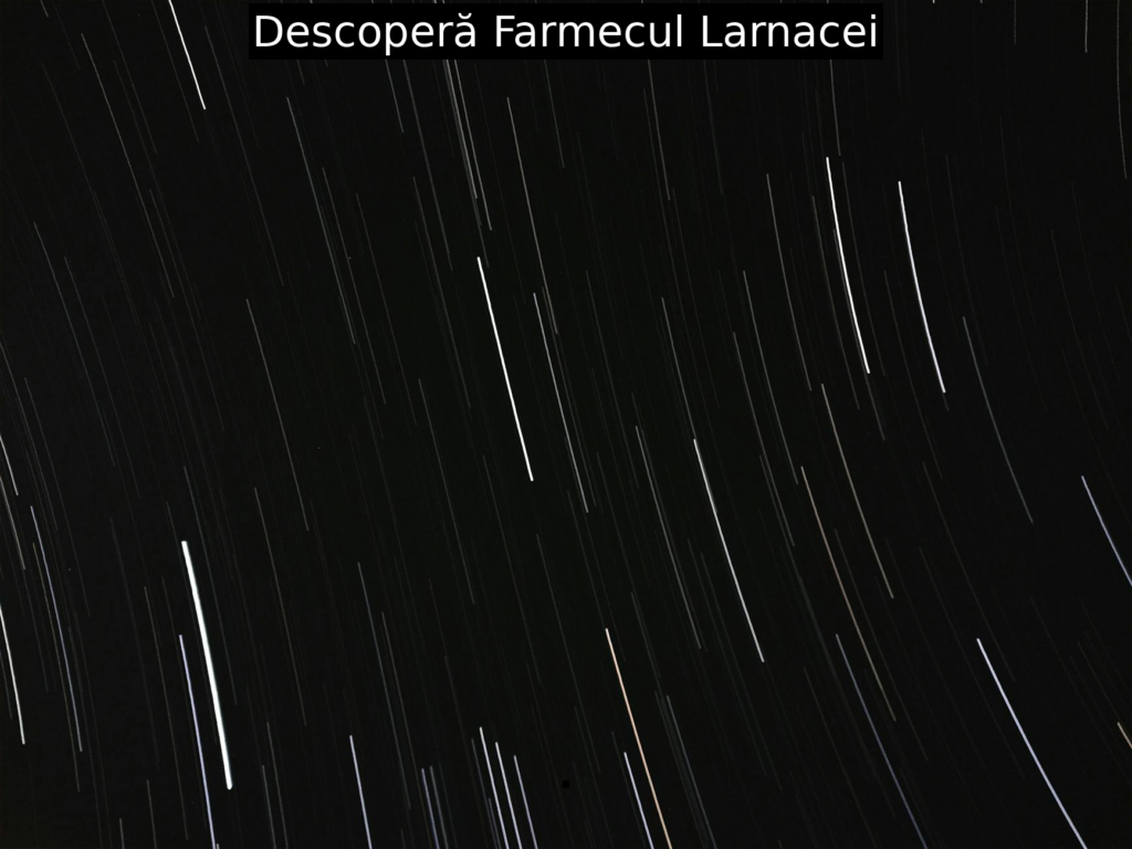 Descoperă Farmecul Larnacei